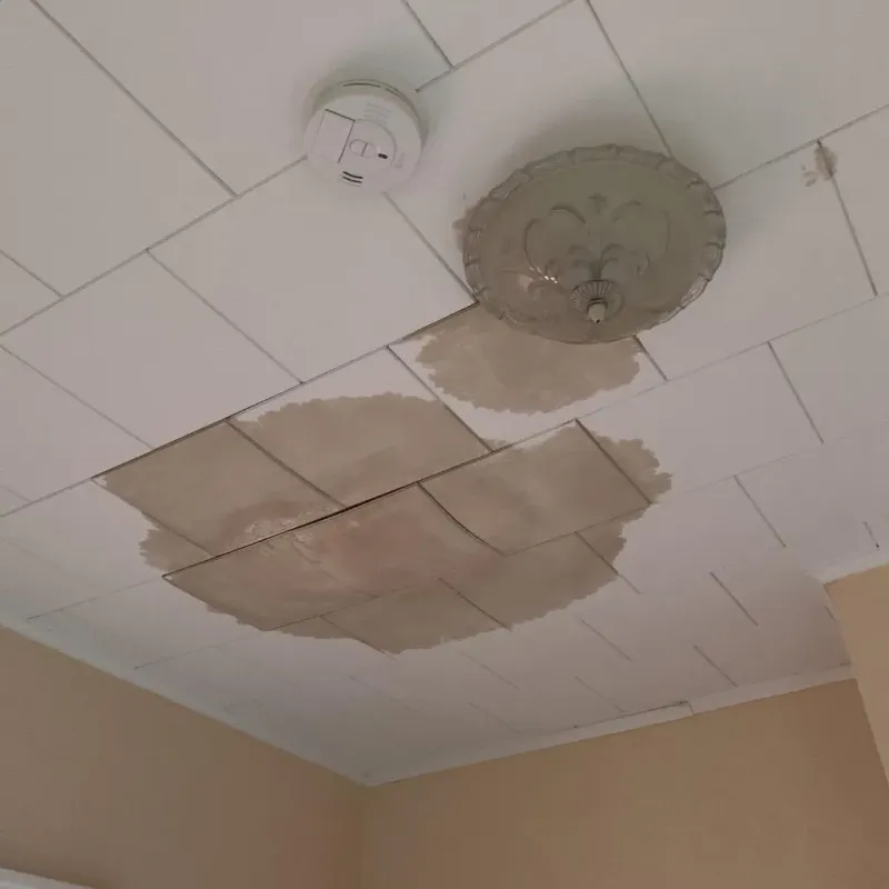 Ceiling Water Damage Repair in Hunter, TN