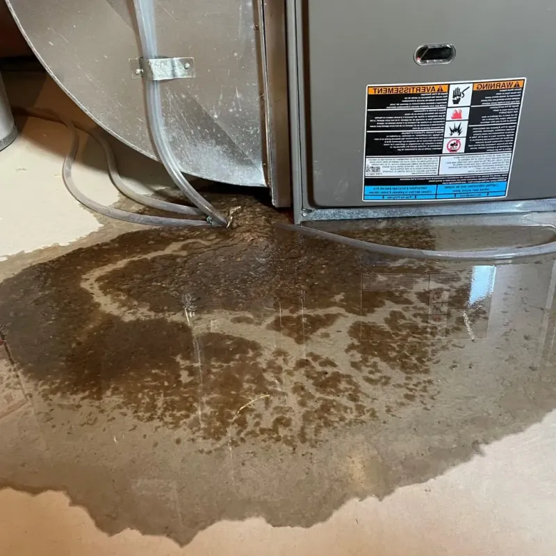 Pipe Burst and Leak Restoration in Hunter, TN