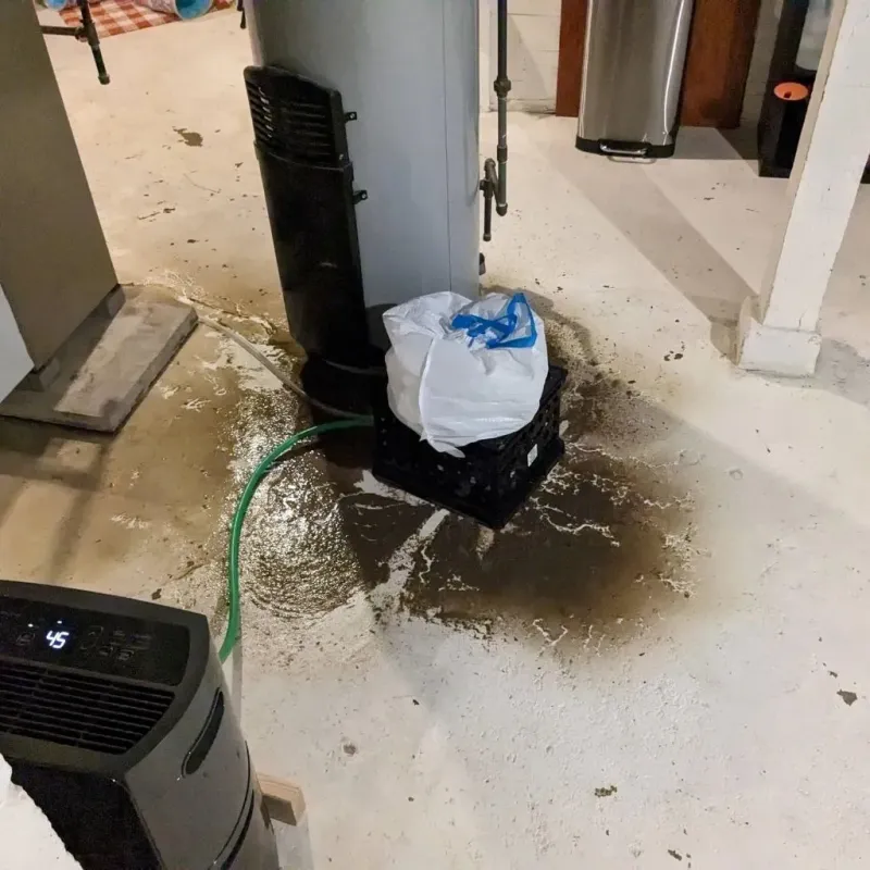 Sewage Backup Cleanup Service in Hunter, TN